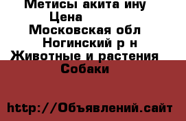 Метисы акита ину › Цена ­ 1 000 - Московская обл., Ногинский р-н Животные и растения » Собаки   